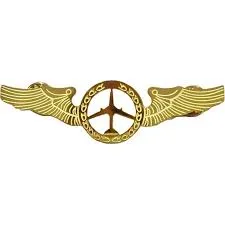 وینگ جنرال هواپیما